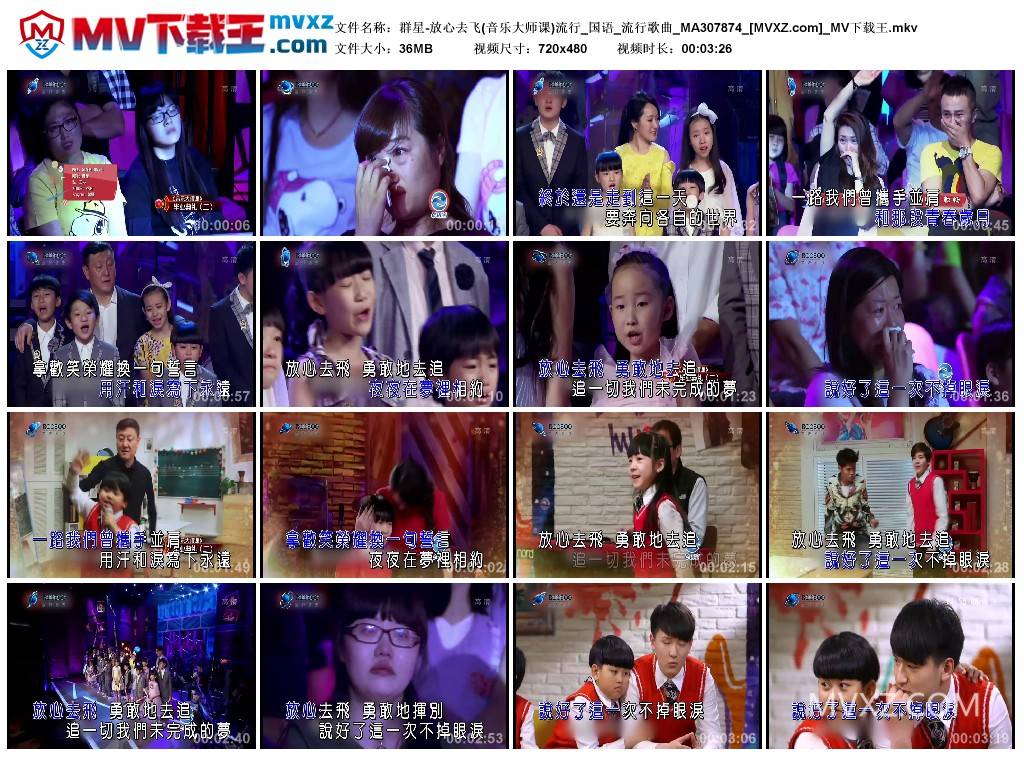 群星-放心去飞(音乐大师课)流行_国语_流行歌曲_MA307874